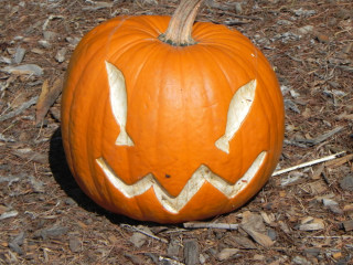 Fish Eye carved Pumpkin,  Nipomo Pumpkin Patch best carving idea